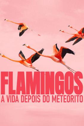 Flamingos: A Vida Depois do Meteorito